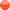 ca. 4-8 Wochen