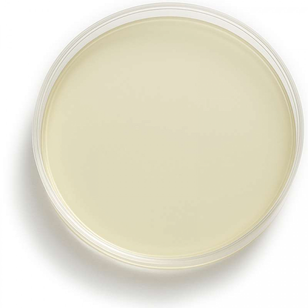 nutriplate-candida-elektivagar-nickerson